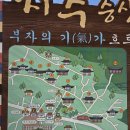 진주 여행 가볼만한곳 지수 승산 부자마을 지수초등학교 부자소나무