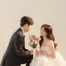 코튼볼스튜디오 | 찐만족 웨딩 스튜디오 모스앤코튼 촬영 상세 후기 | 0. 선택 과정 및 레퍼런스 (꿀팁, 짝꿍 할인 코드...