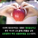 아침에사과.건강에최고랍니다 이미지