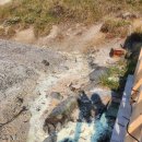 송영농장 이미지