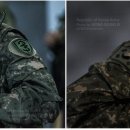 소초도 Daum카페