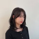 하비헤어 이미지