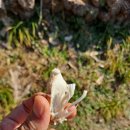 덕동농장 이미지