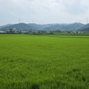 삼용2리 이미지