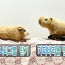 (주)어썸피스 이미지