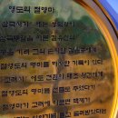 부산.신항대교 아름다운 밤풍경 이미지