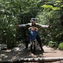 푸르른 태권도장 이미지