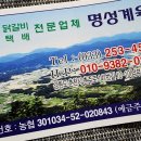 명성계육 이미지