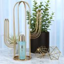 올레 베르데 이미지