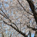 당고개길 이미지