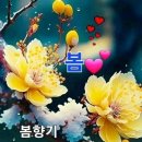 이음플러스