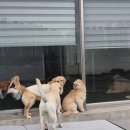 아지야 놀자 이미지