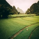 모아모아 이미지