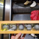 가자남쪽나라 이미지