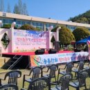 하이초등학교 이미지