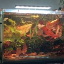 여울목 아쿠아 이미지