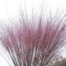 광준농장 이미지