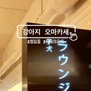 퍼피라운지 이미지