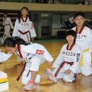 화랑체육관(태권도) 이미지