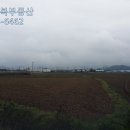 무진대로 이미지