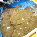 가락시장역6번출입구 이미지