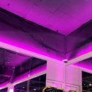 줄리엣짐 이미지