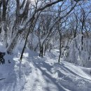 한라산약국 네이버블로그