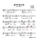 살아야 할 이유 - 남.여 반주곡 / (원곡-이영희) 노래 무룡 이미지