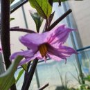 나가지농장 이미지