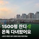 온독 | 봉담 애견카페 후기 온독애견카페 1500평 천연잔디 운동장 시설 정리