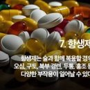 항생제 안효능 종류 술 내성 커피 설사 우유 알레르기 이미지