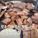 소촌숯불갈비 | [내가많이먹을상인가] 광주 직화갈비 맛집 소촌무등골 양념양갈비 위치 포장 정보 총정리