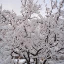 서울상수초등학교 이미지