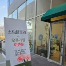 소담플로라
