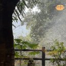 카오리 | 후쿠오카 히타 산소텐스이 “카오리”룸 석식, 조식 후기