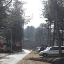 솔밭펜션 이미지