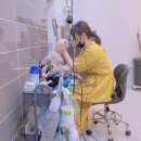 독한마캣 이미지