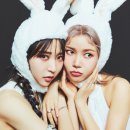 투래빗츠