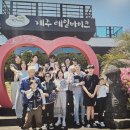 제주도관광버스대여 다녀온 단체여행 후기!