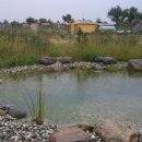 치부농장 이미지