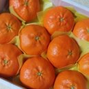 귀재농장 이미지