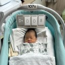 몽고반점 이미지