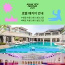 호텔팝 | 2026 아시안 팝 페스티벌 앤나 파라다이스 호텔 숙박 후기 씁니다