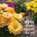 D-16 이미지