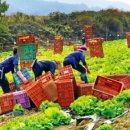 임금농장 이미지