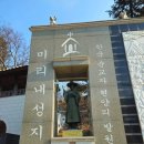 미리내꽃