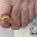 레푸스강남세곡점 이미지