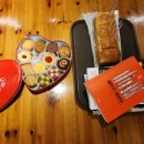 스테디독 이미지