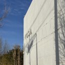 가락대로가락동 | [부산/강서구]부산강서구대형카페 추천 애견동반 가능 '카페 보다'