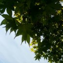 한송오토캠핑장 이미지